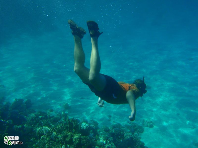 p7300067