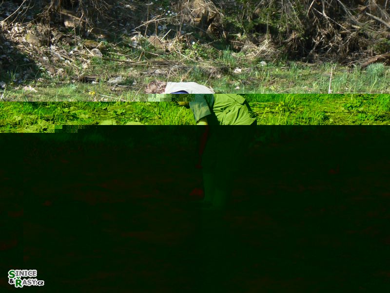 p1040867