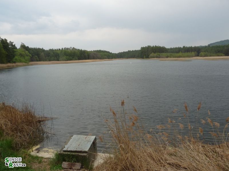 p1010972