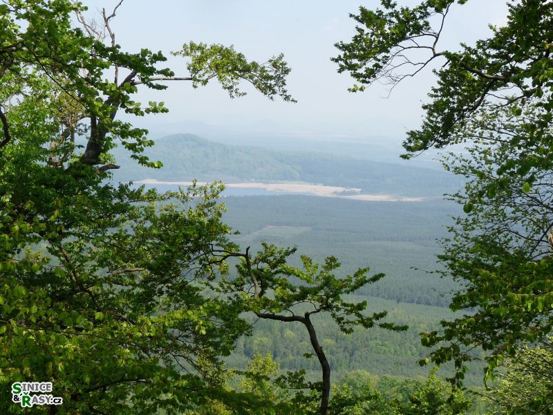 p1020017