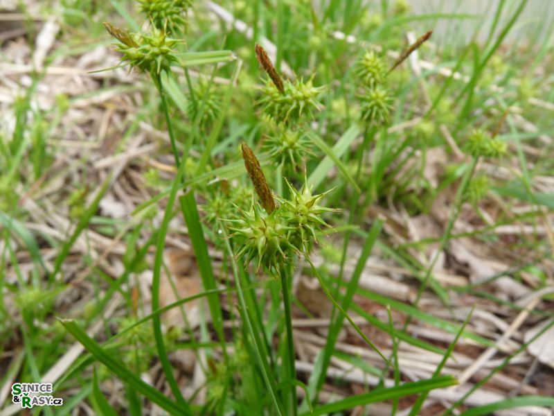p1020507