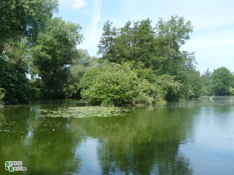 p1020545