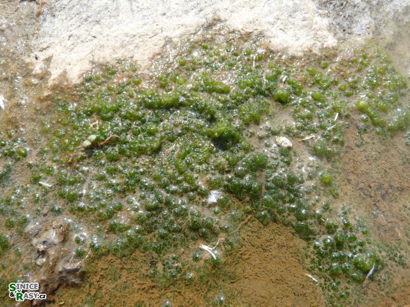 p1020587