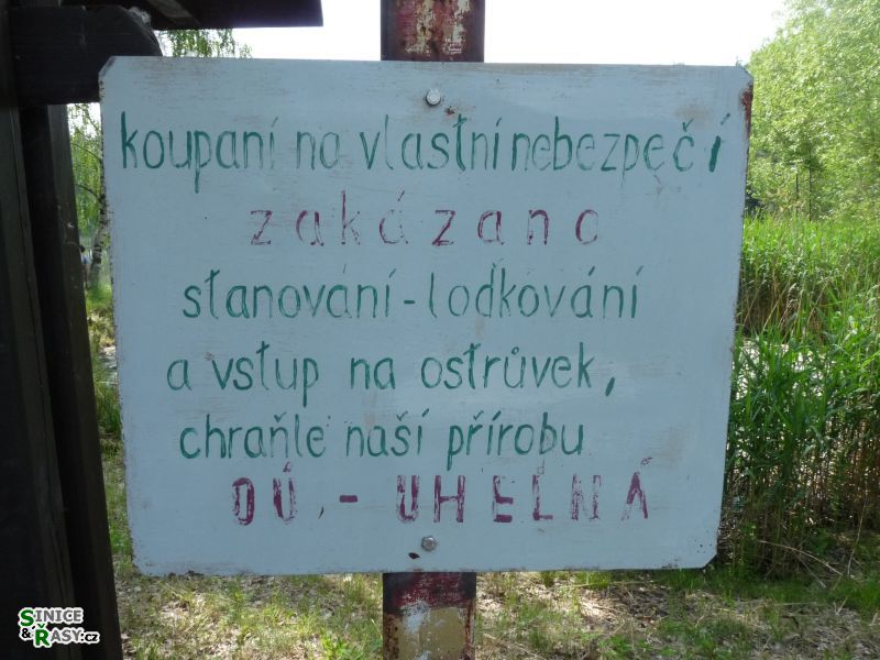 p1020588