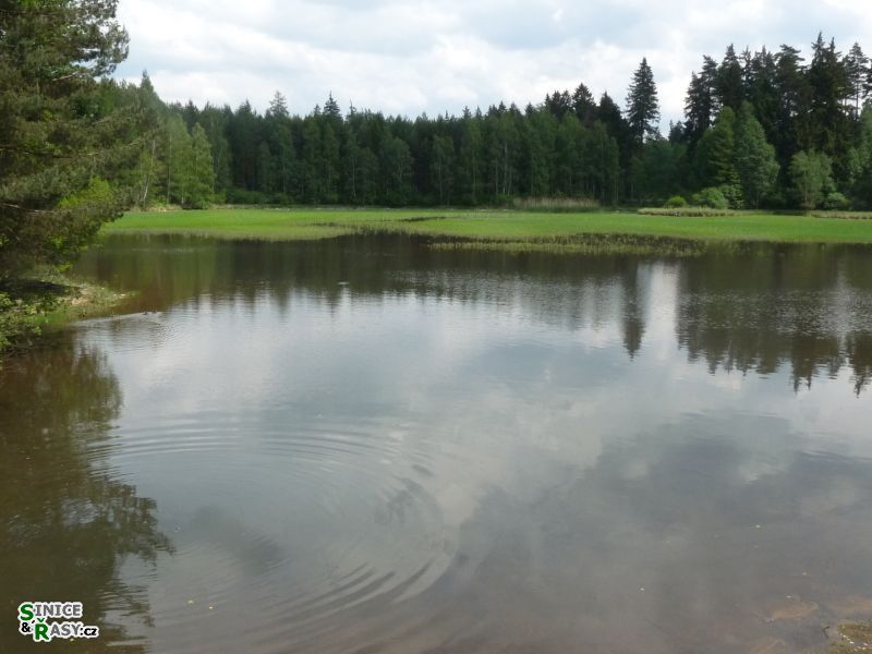 p1020626