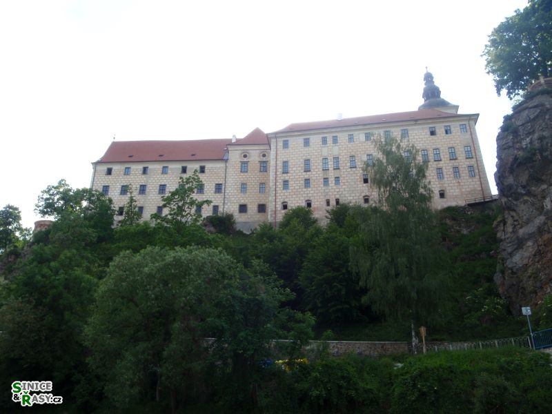 p5260367