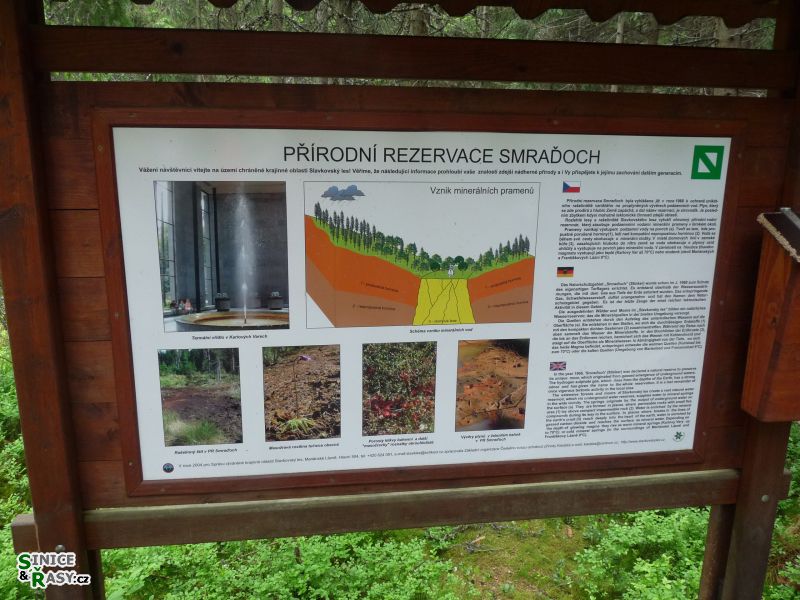 p1030400