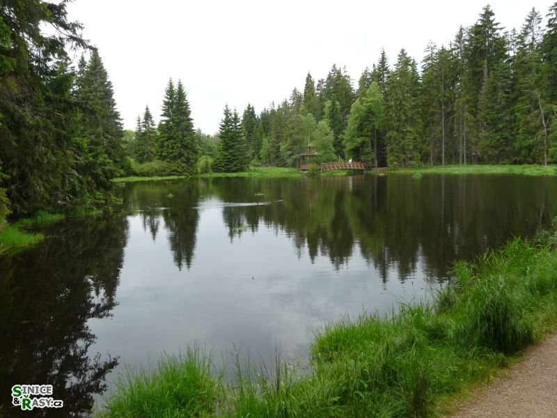 p1030429