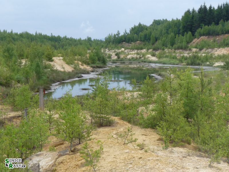 p1030521