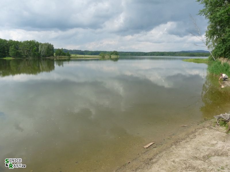 p1030551