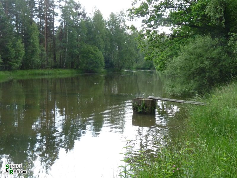 p1030567