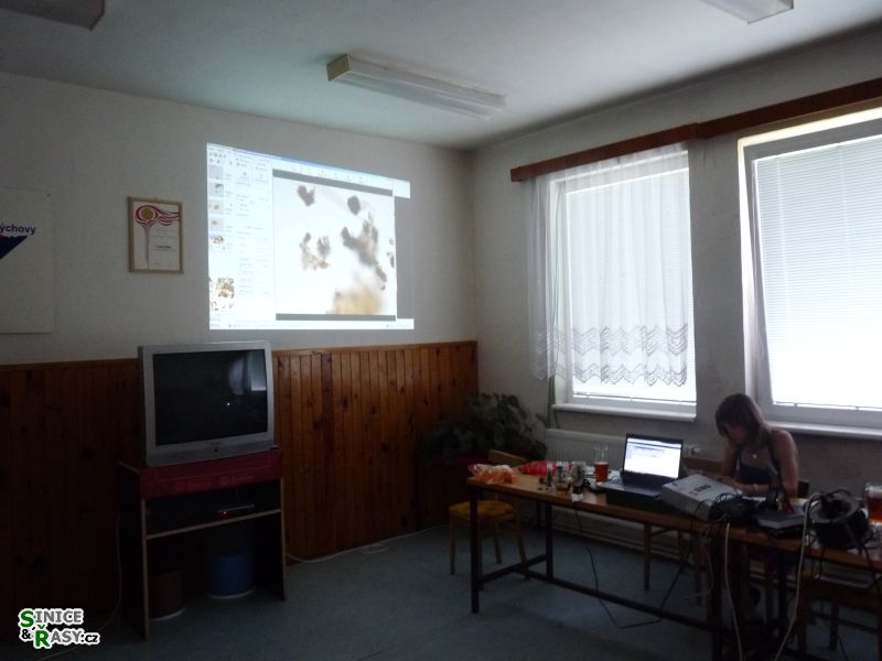 p1030582