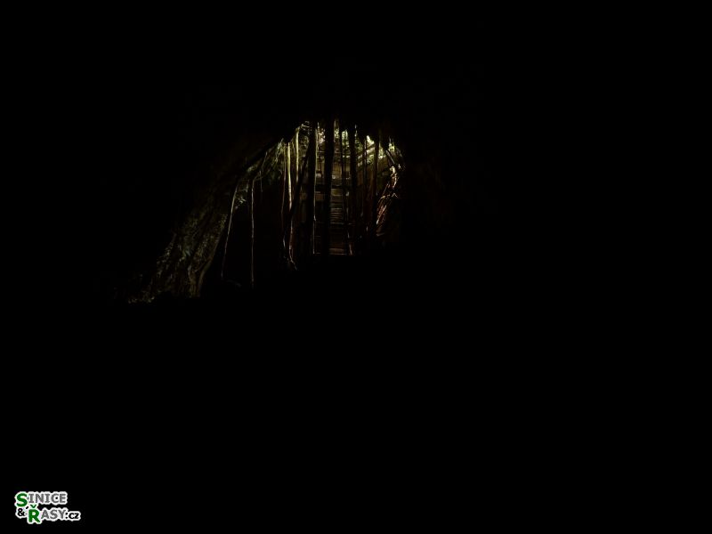 3-guajataca-state-forest-puerto-rico-2013-011