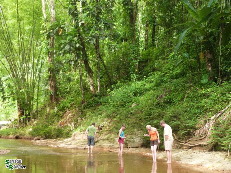3-guajataca-state-forest-puerto-rico-2013-014