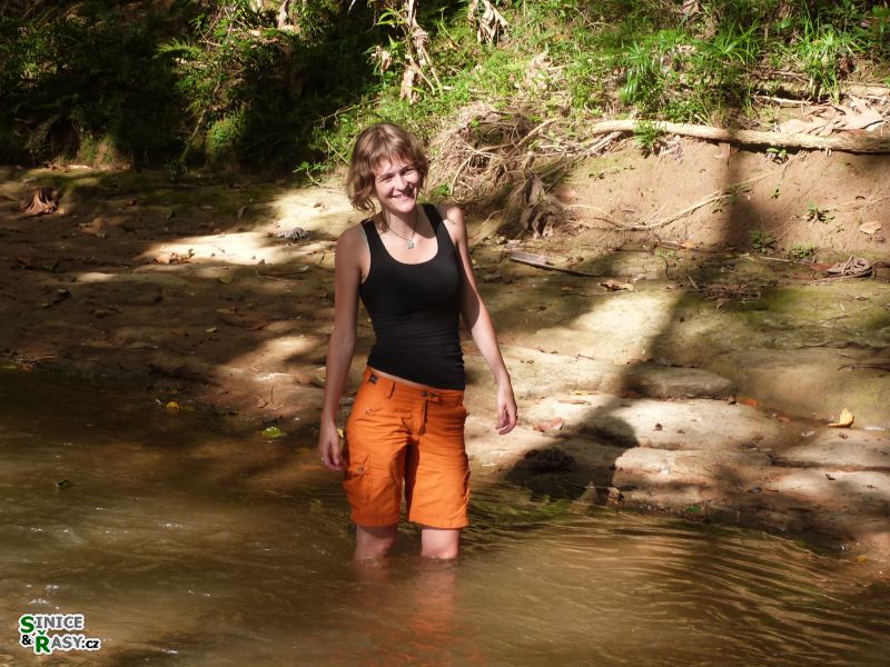 3-guajataca-state-forest-puerto-rico-2013-016
