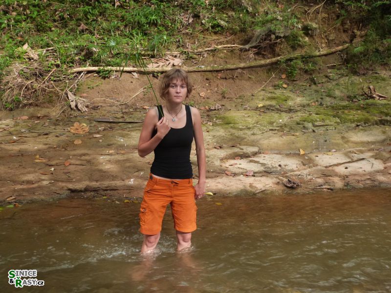 3-guajataca-state-forest-puerto-rico-2013-017