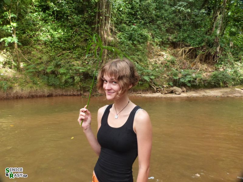 3-guajataca-state-forest-puerto-rico-2013-019