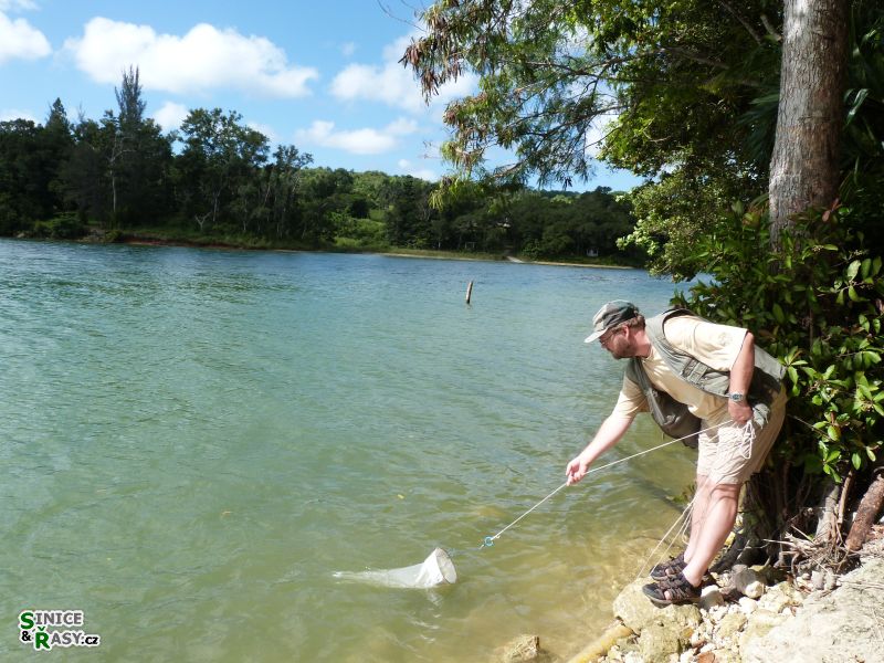 3-guajataca-state-forest-puerto-rico-2013-021