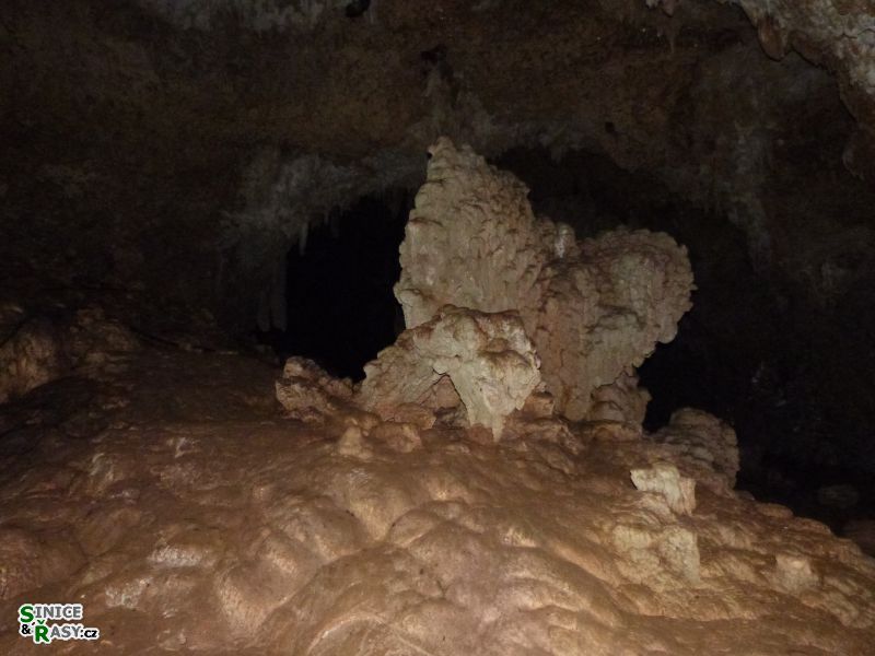 3-guajataca-state-forest-puerto-rico-2013-032