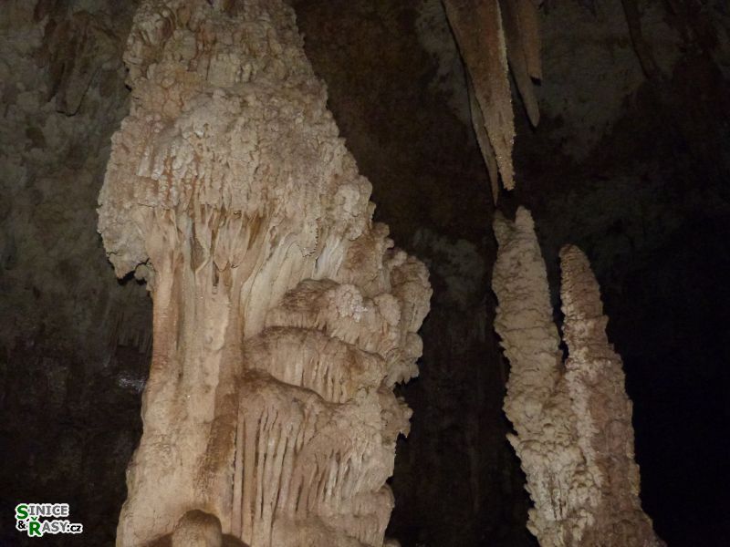 3-guajataca-state-forest-puerto-rico-2013-035