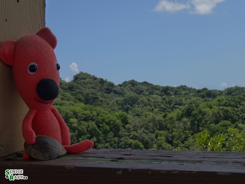 3-guajataca-state-forest-puerto-rico-2013-048