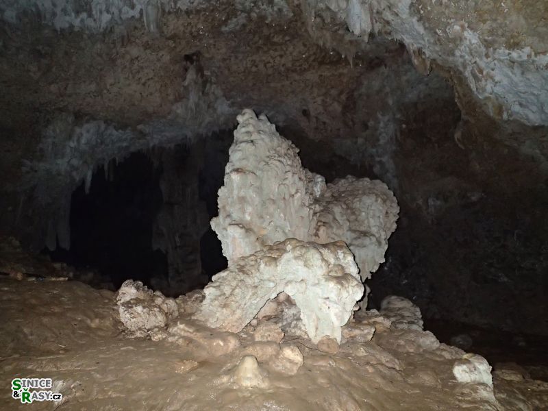 3-guajataca-state-forest-puerto-rico-2013-051