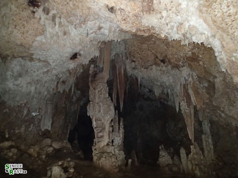 3-guajataca-state-forest-puerto-rico-2013-052