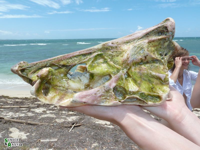 cabo-rojo-puerto-rico-2013-012