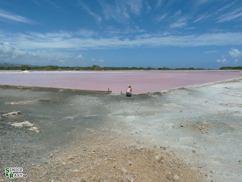 cabo-rojo-puerto-rico-2013-019