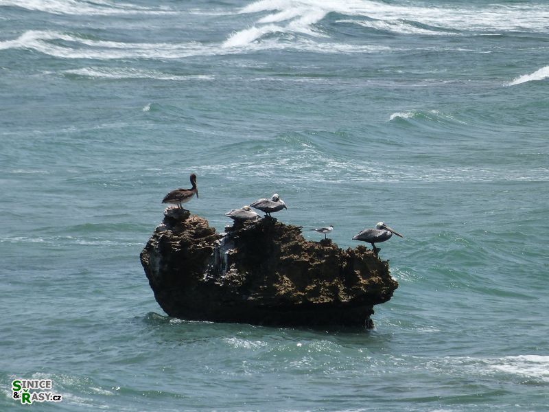 cabo-rojo-puerto-rico-2013-034