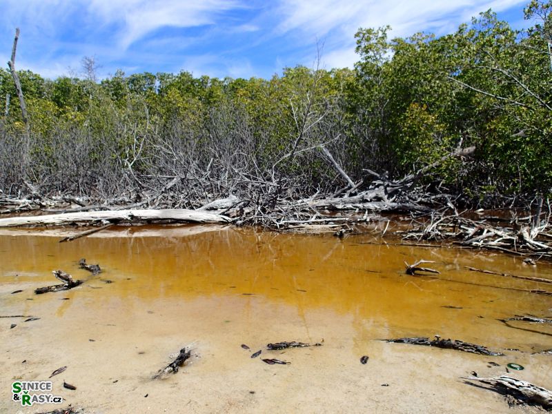 cabo-rojo-puerto-rico-2013-036