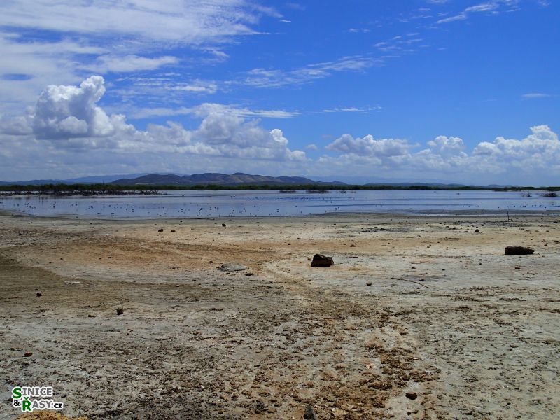 cabo-rojo-puerto-rico-2013-037