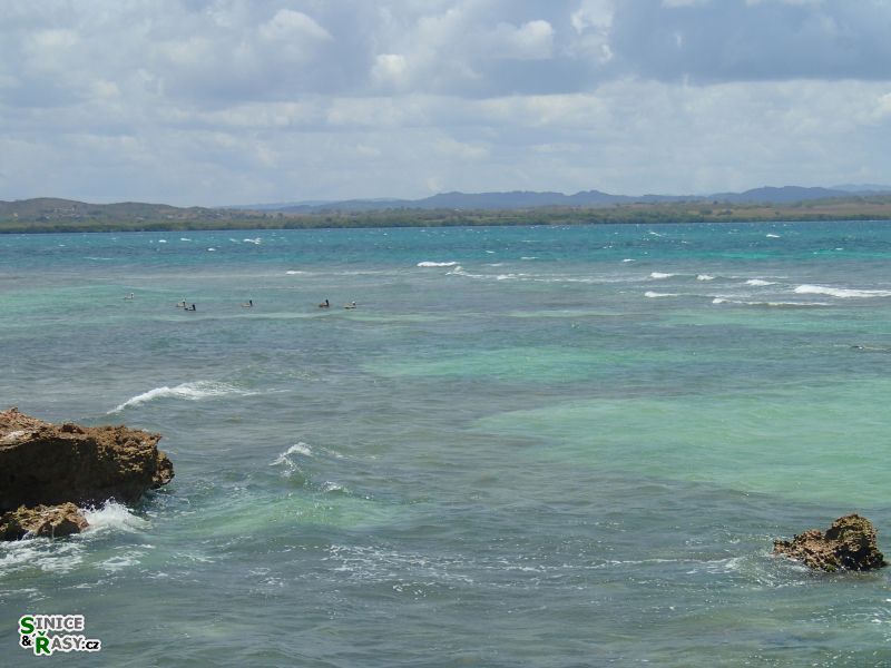 cabo-rojo-puerto-rico-2013-039