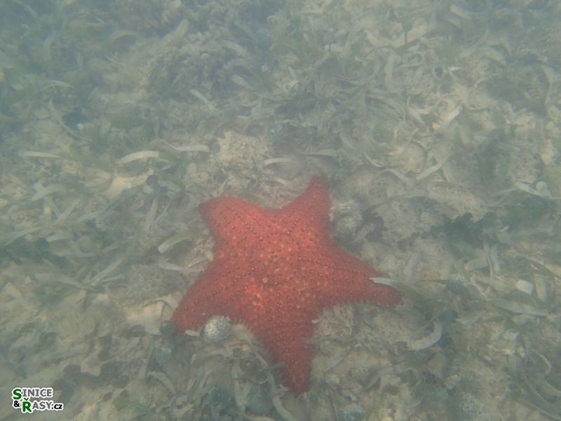 cabo-rojo-puerto-rico-2013-040