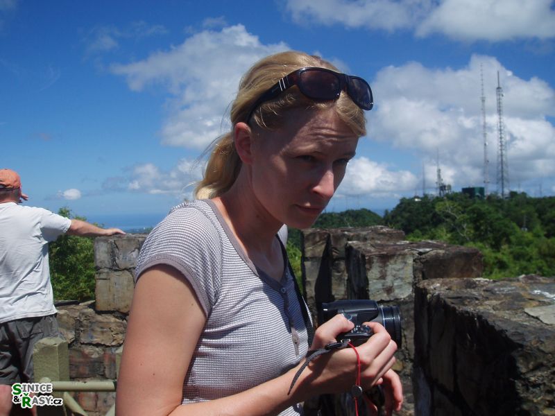 maricao-state-forest-puerto-rico-2013-002