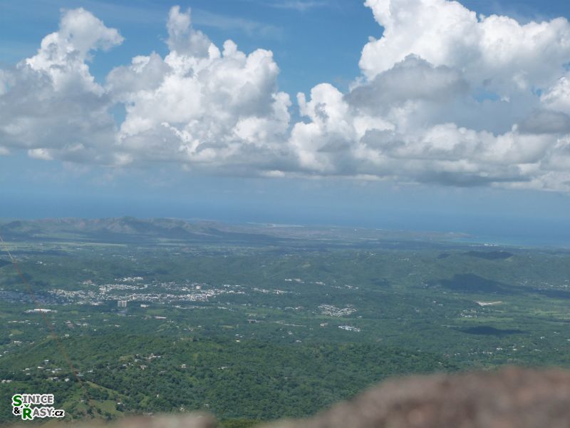 maricao-state-forest-puerto-rico-2013-013