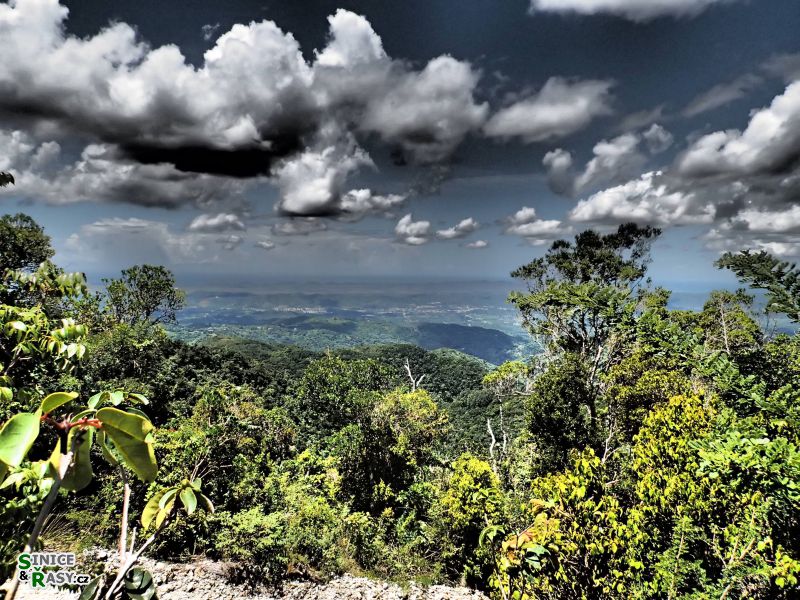 maricao-state-forest-puerto-rico-2013-026