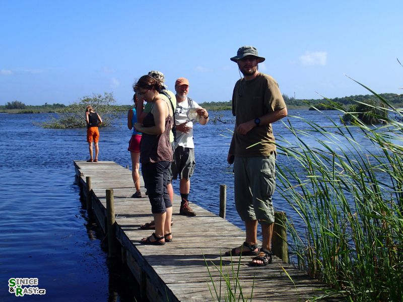 cano-de-tiburones-a-cambalache-state-forest-puerto-rico-2013-011