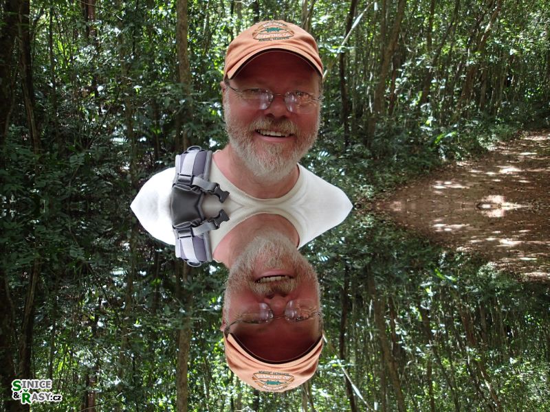 cano-de-tiburones-a-cambalache-state-forest-puerto-rico-2013-015