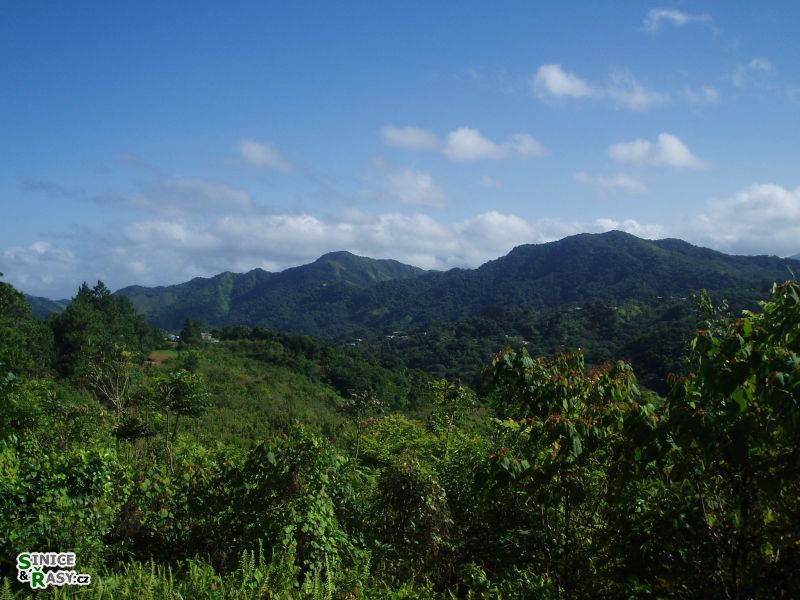 arecibo-observatory-puerto-rico-2013-002