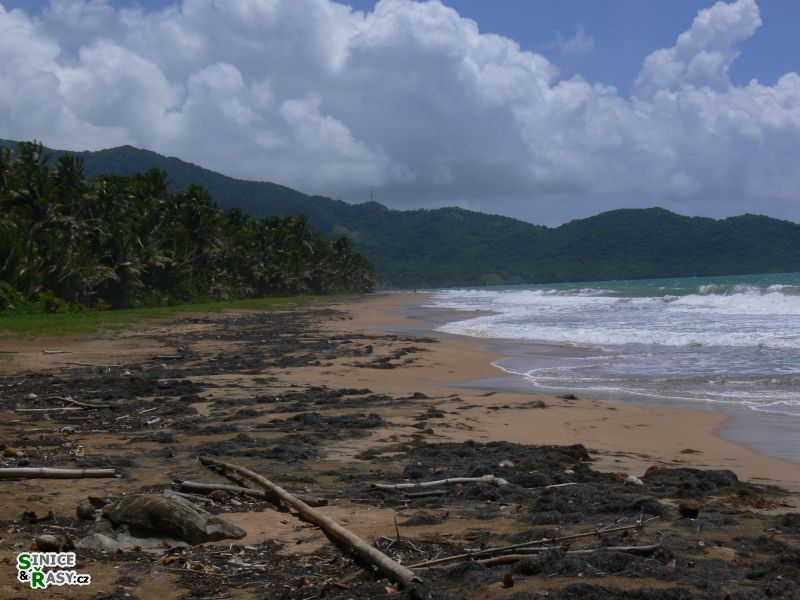 on-the-road-and-home-base-2-puerto-rico-2013-005