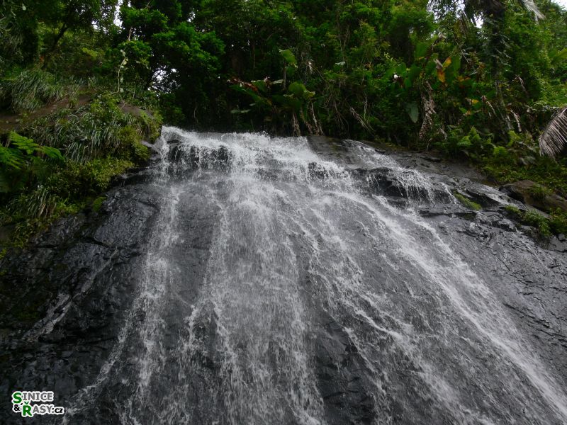 el-yunque-lowland-puerto-rico-2013-002