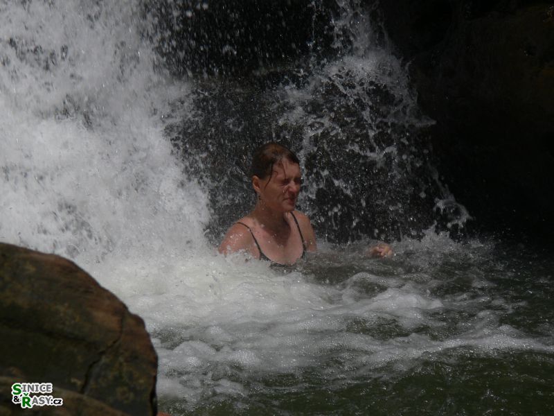 el-yunque-lowland-puerto-rico-2013-006