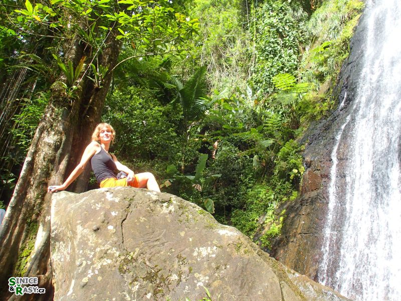 el-yunque-lowland-puerto-rico-2013-033