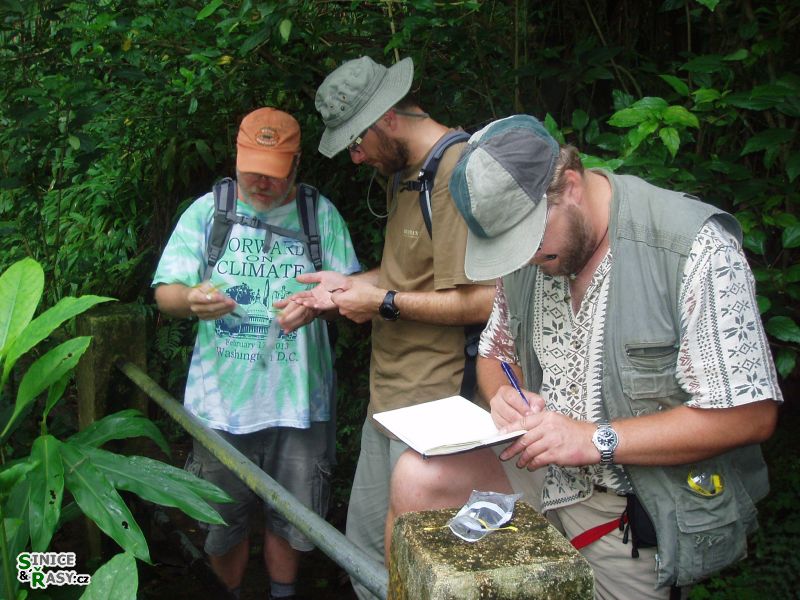 el-yunque-highland-puerto-rico-2013-001