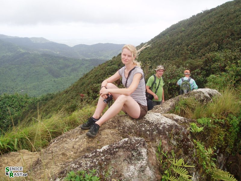 el-yunque-highland-puerto-rico-2013-003