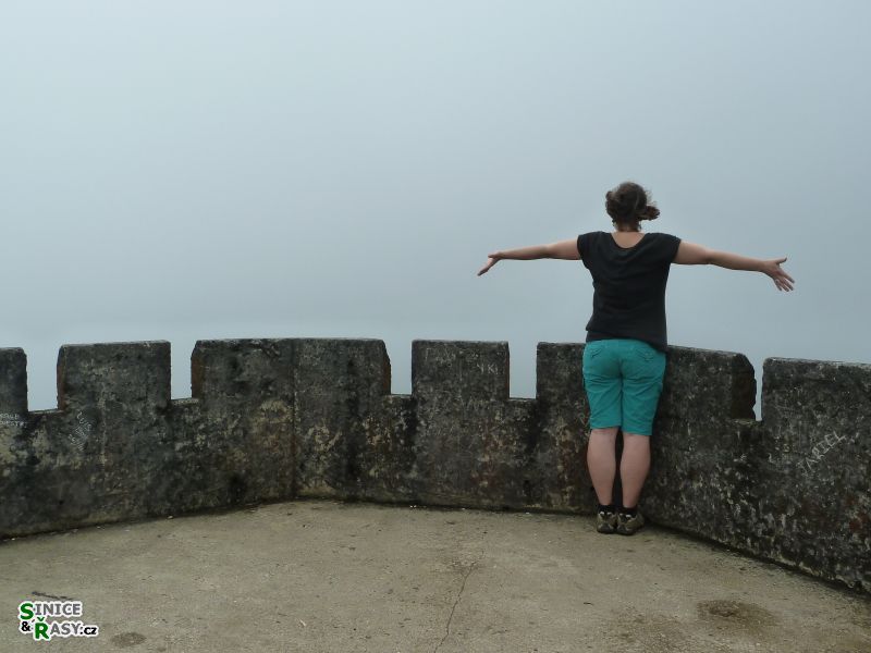 el-yunque-highland-puerto-rico-2013-021