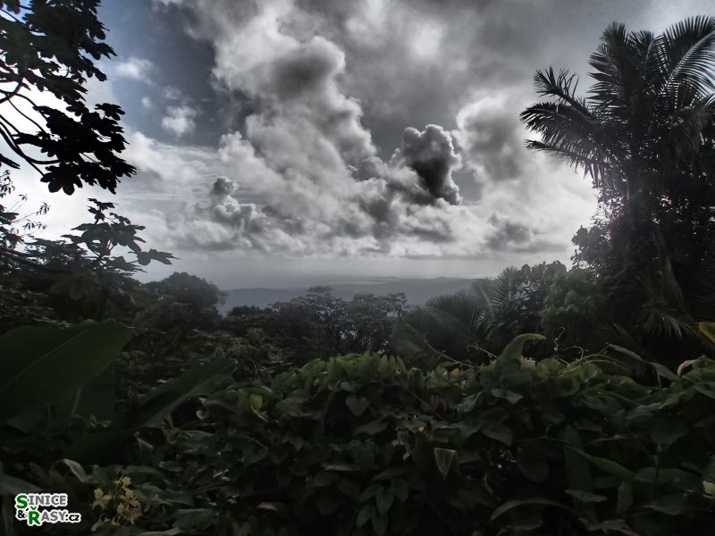 el-yunque-highland-puerto-rico-2013-041