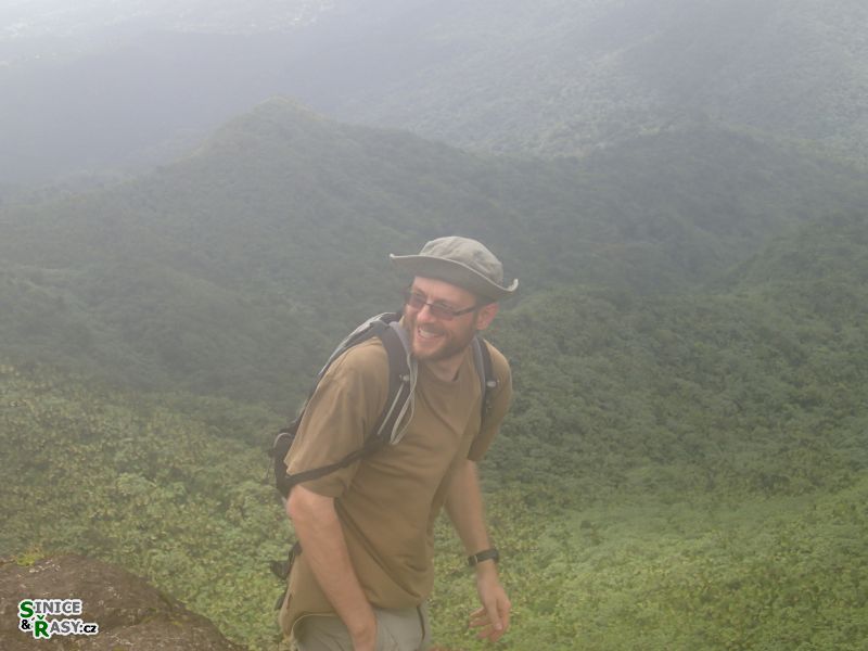 el-yunque-highland-puerto-rico-2013-057