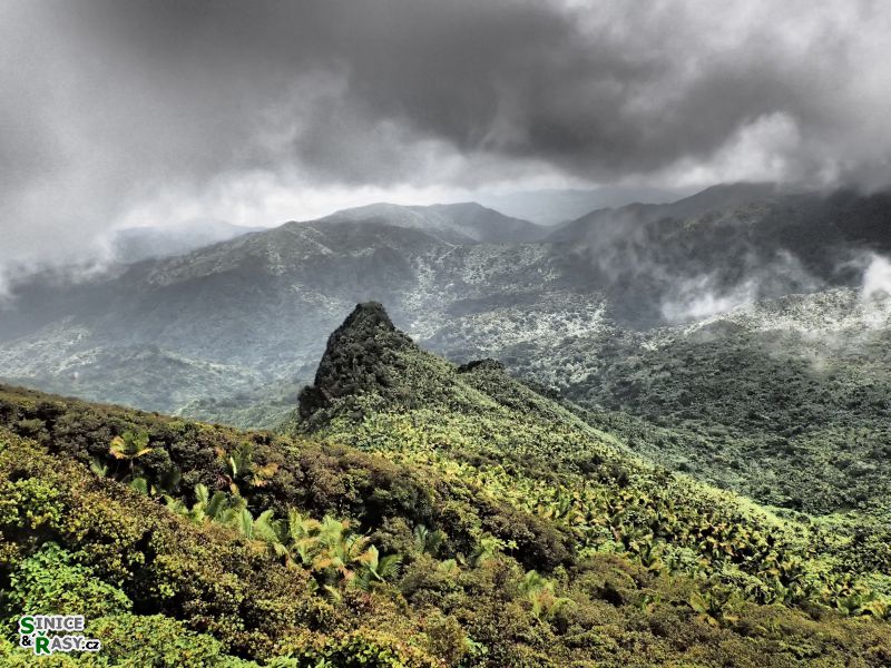 el-yunque-highland-puerto-rico-2013-061